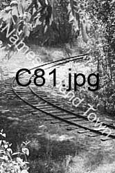 C81