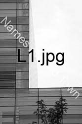 L1