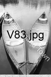 V83